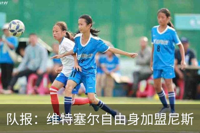 队报：维特塞尔自由身加盟尼斯